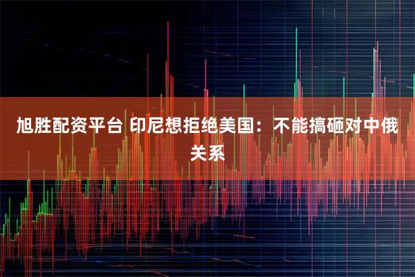 旭胜配资平台 印尼想拒绝美国：不能搞砸对中俄关系