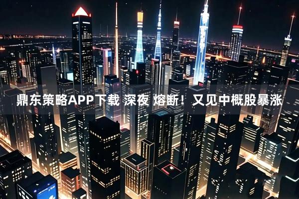 鼎东策略APP下载 深夜 熔断！又见中概股暴涨